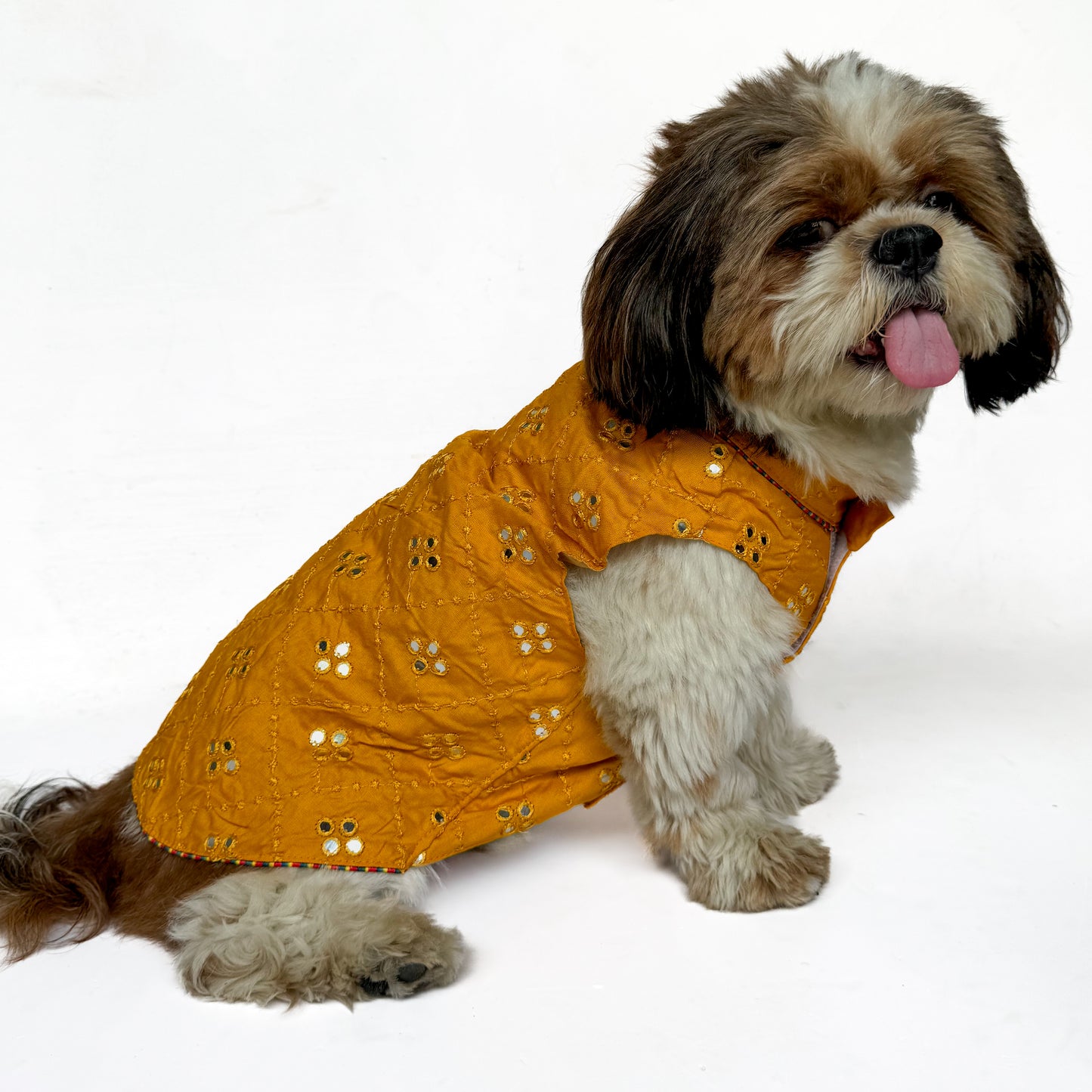 Mustard Mirror Work Festive Shirt | For Dogs | Pawgy Pets