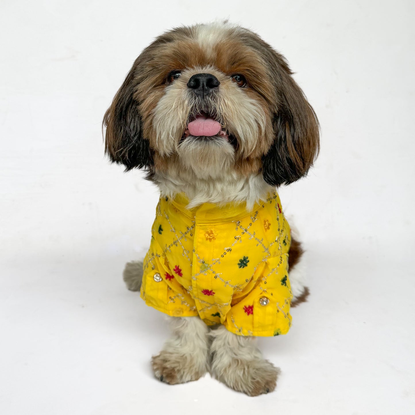 Yellow Festive Shirt | For Dogs | Pawgy Pets