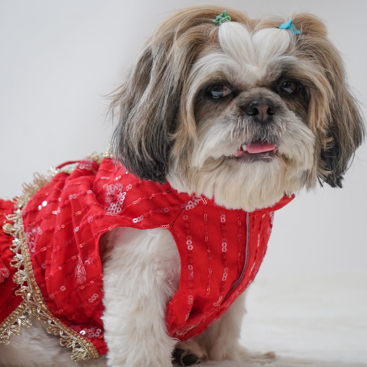 Red Net Lehenga | For Dogs | Pawgy Pets