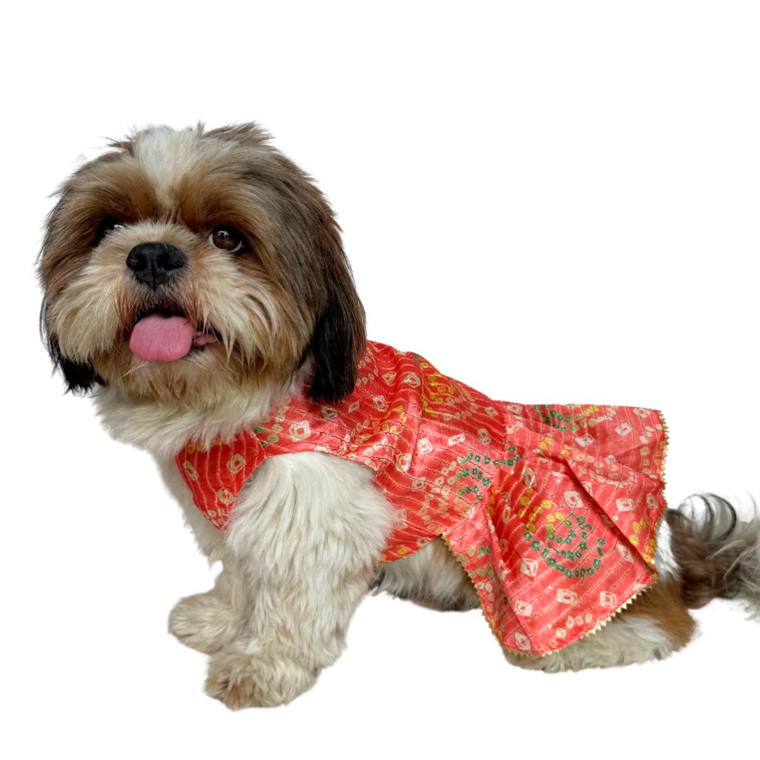 Peach Silk Dress | For Dogs | Pawgy Pets