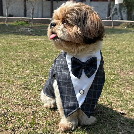 Luxe by Pawgy Pets Grey Check  Bowtie Tuxedo