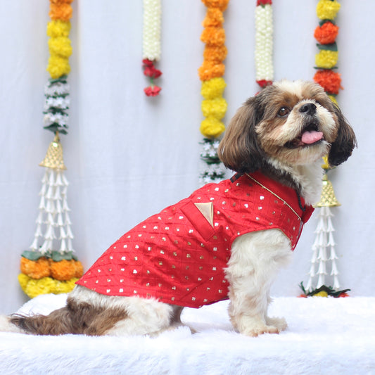 Pawgy Pets Red Shahi Kurta for Dogs