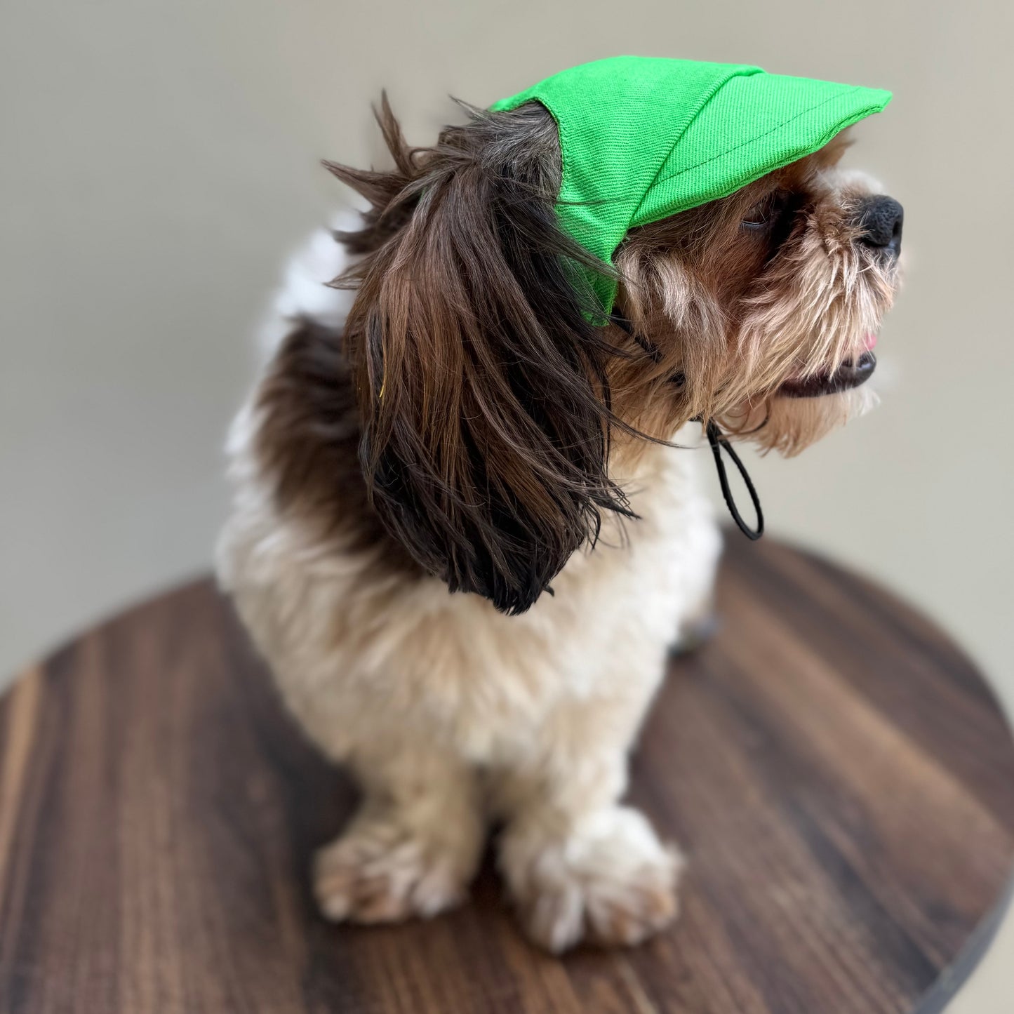 Lime Green Cap and Bandana Set | For Dogs | Pawgy Pets