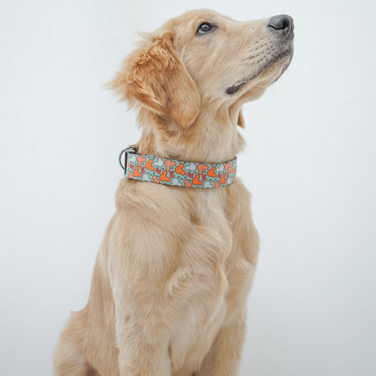 Pawgy Pets Collar Mickey Pastel Green for dogs and cats