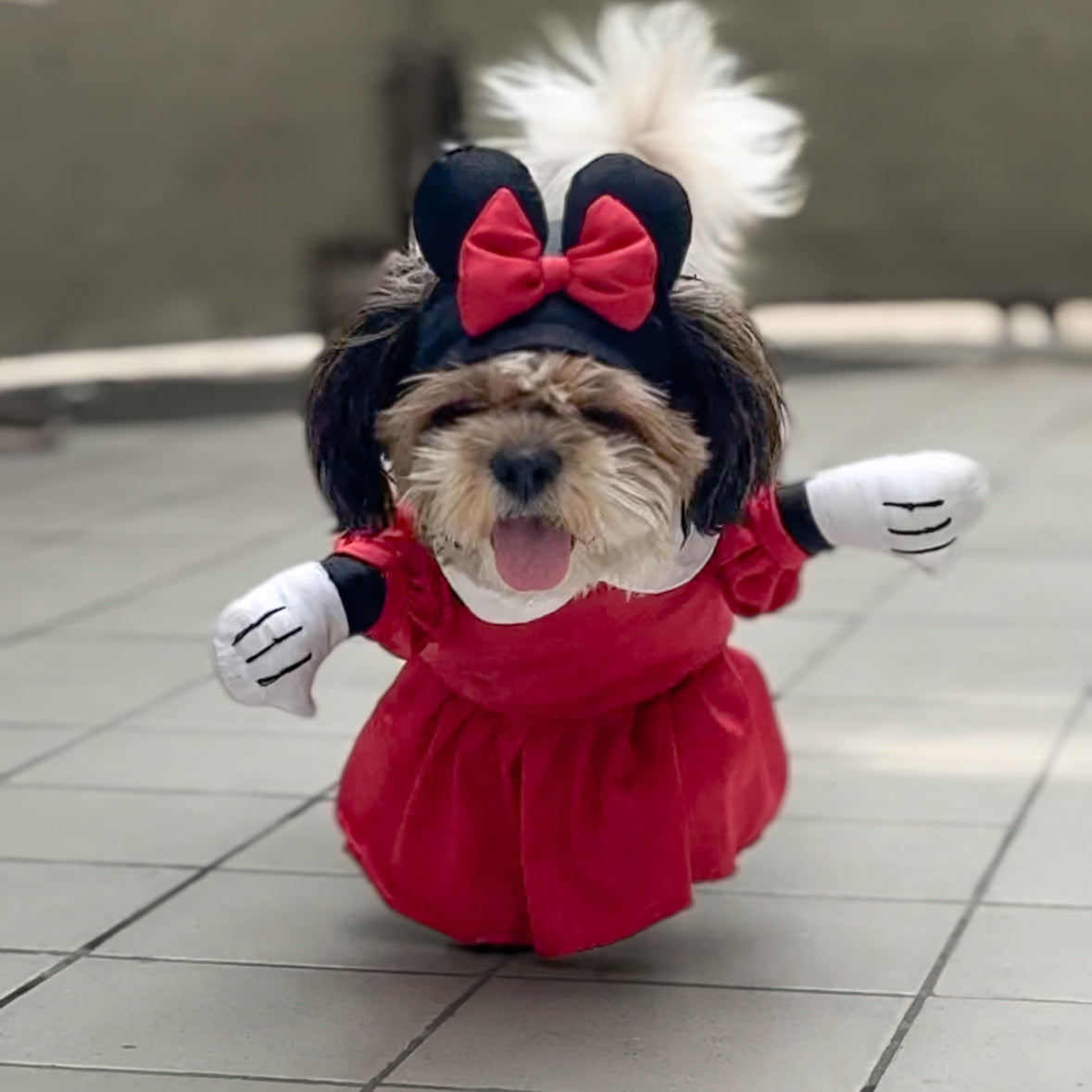 Pawgy Pets Minnie Mouse Dog Costume