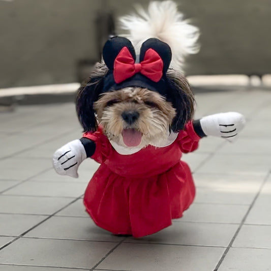 Minnie Mouse | Fun Costume | Pawgy Pets