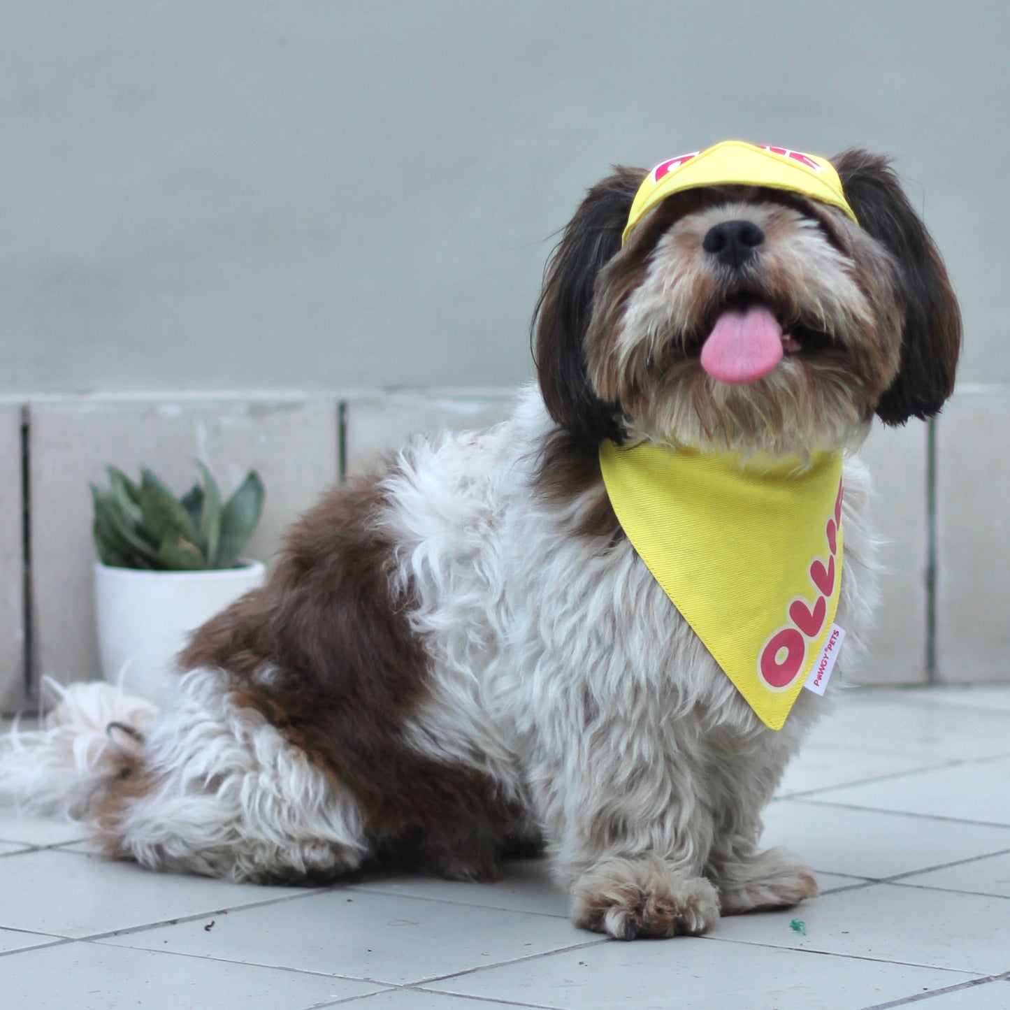 Pawgy Pets Personalised Dog Cap and Bandana: Yellow for Dogs & Cats