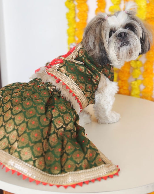 Pawgy Pets Green Brocade Lehenga for Dogs & Cats