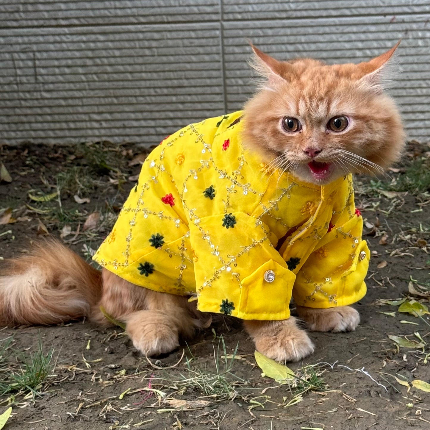 Yellow Festive Shirt | For Cats | Pawgy Pets
