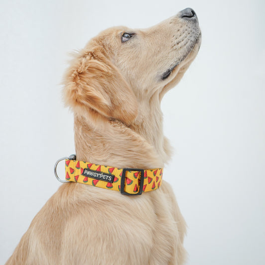 Pawgy Pets Collar Watermelon yellow for dogs and cats