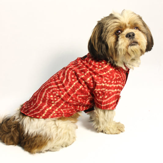Pawgy Pets Red Bandani kurta for Dogs