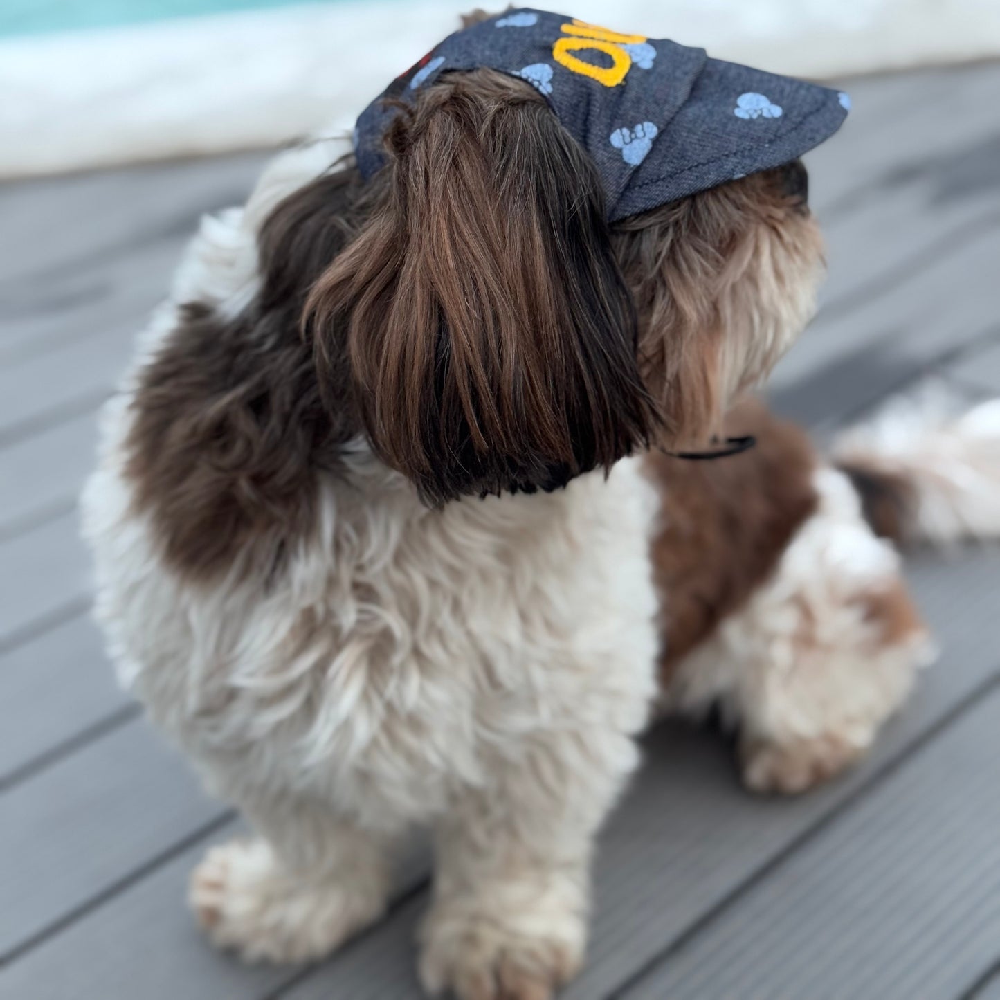 Denim Minnie Cap | Personalised for Dogs | Pawgy Pets