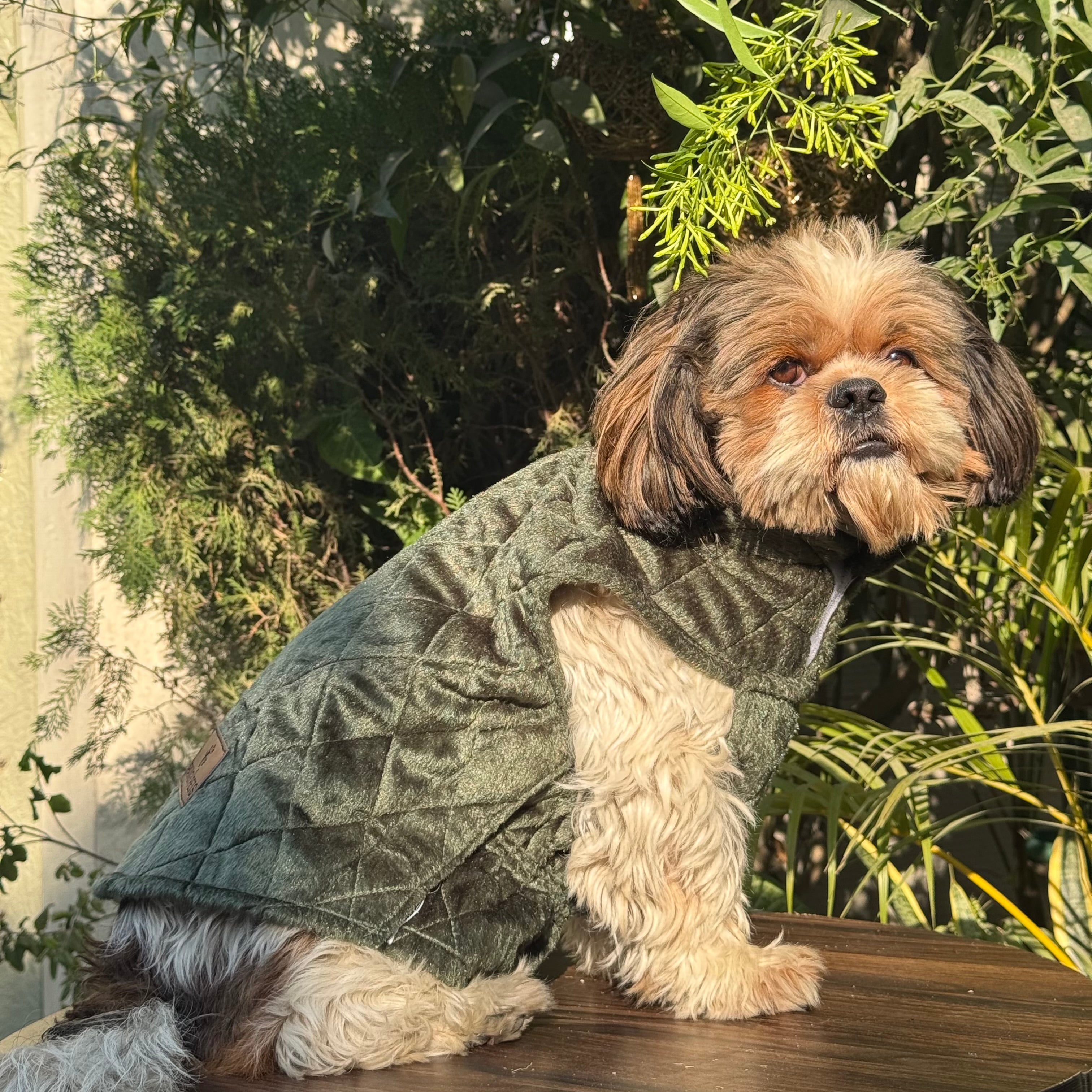 SMALL DOG - Olive Green Doggy Suit Jacket