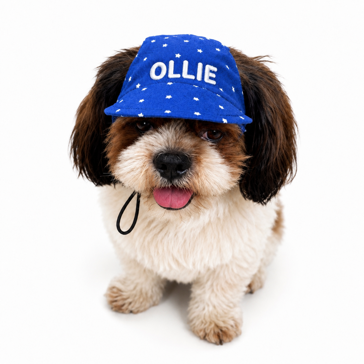 Royal Blue Star Cap and Bandana Set | Personalised for Dogs | Pawgy Pets