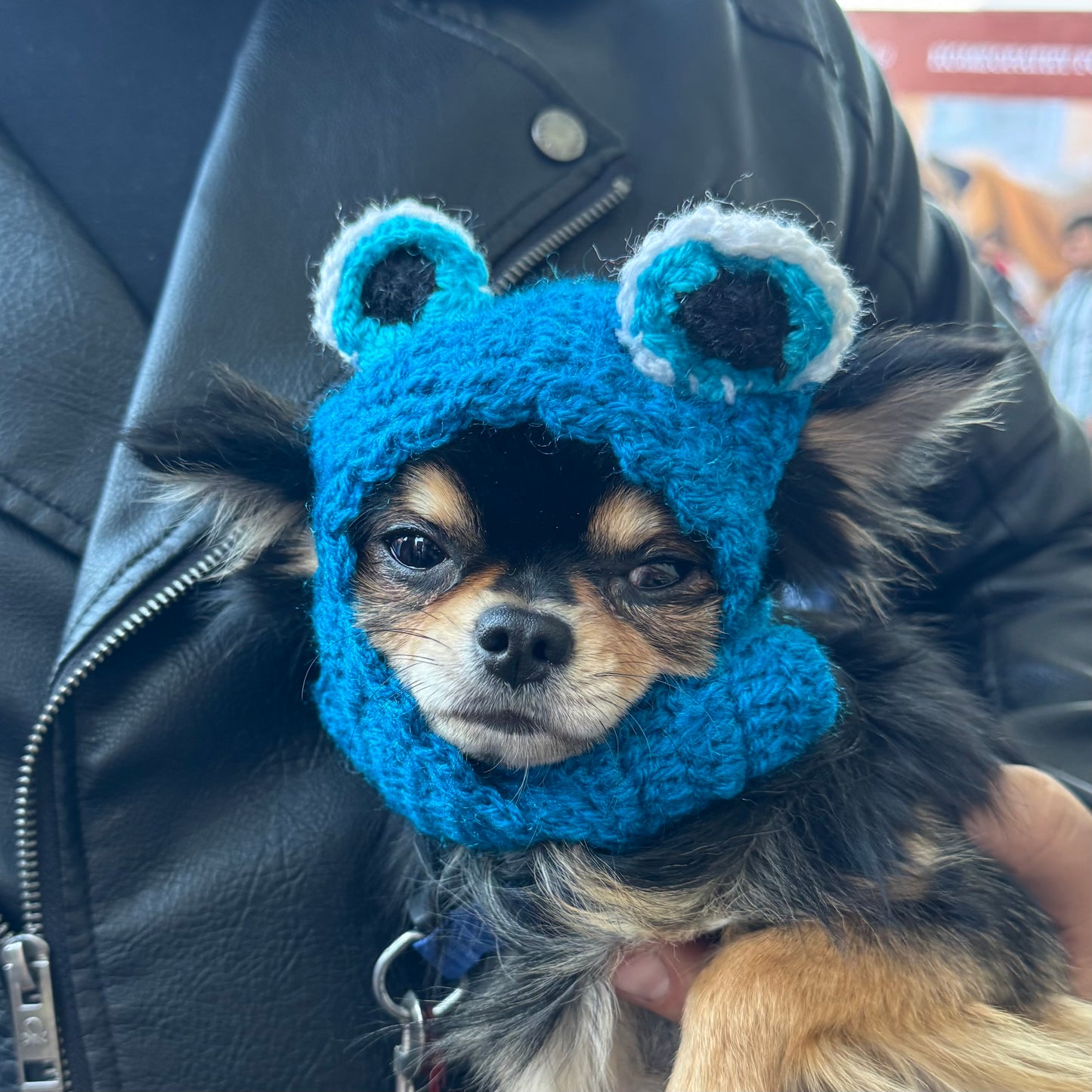 Evil Eye Cap | For Dogs | Pawgy Pets