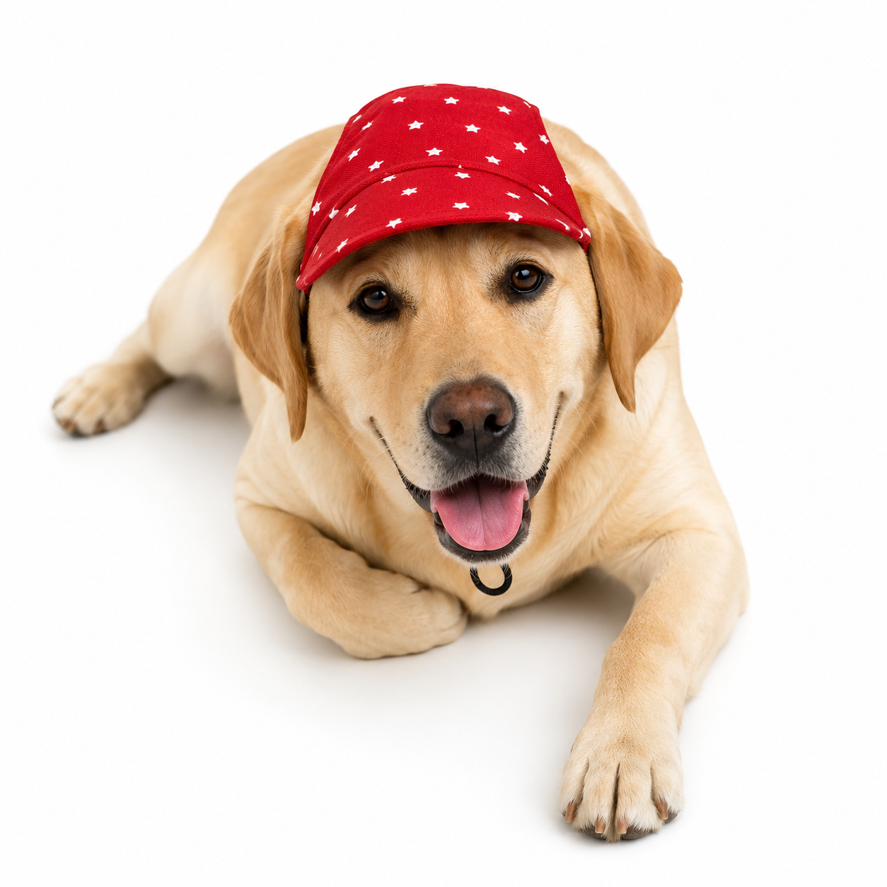 Red Star Cap | Personalised for Dogs | Pawgy Pets