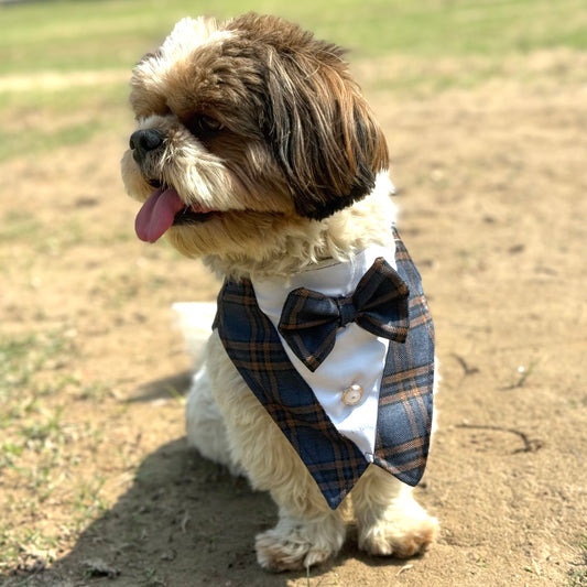 Luxe by Pawgy Pets Navy Blue Check  Bowtie Tuxedo