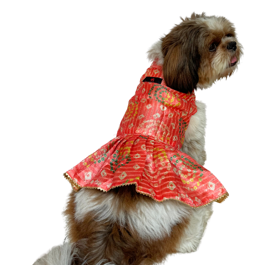 dog kurta, dog shirt, dog dress  Pawgy Pets