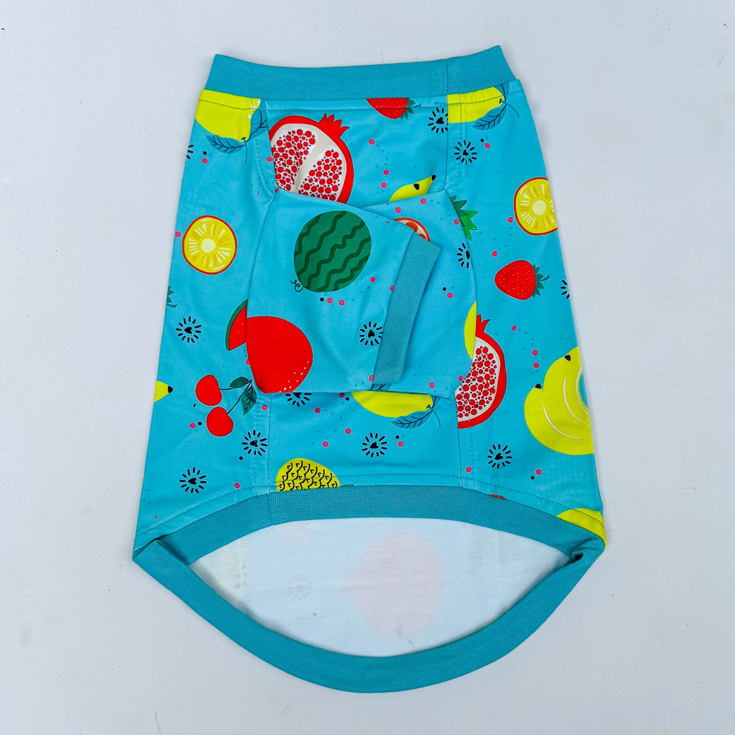 Fruitylicious T-shirt | Blue | For Dogs & Cats | Pawgy Pets