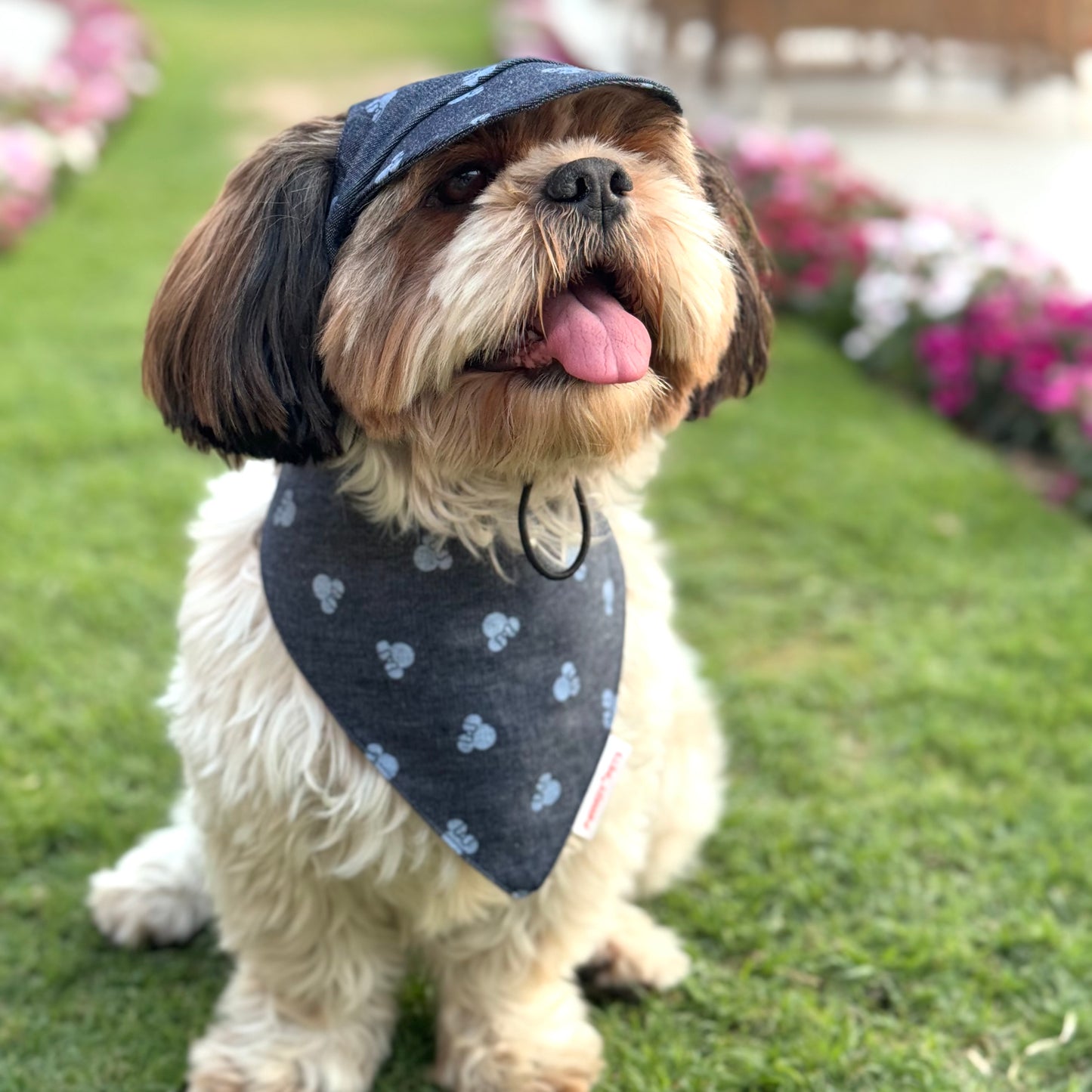 Pawgy Pets Denim Minnie Bandana for Dogs & Cats