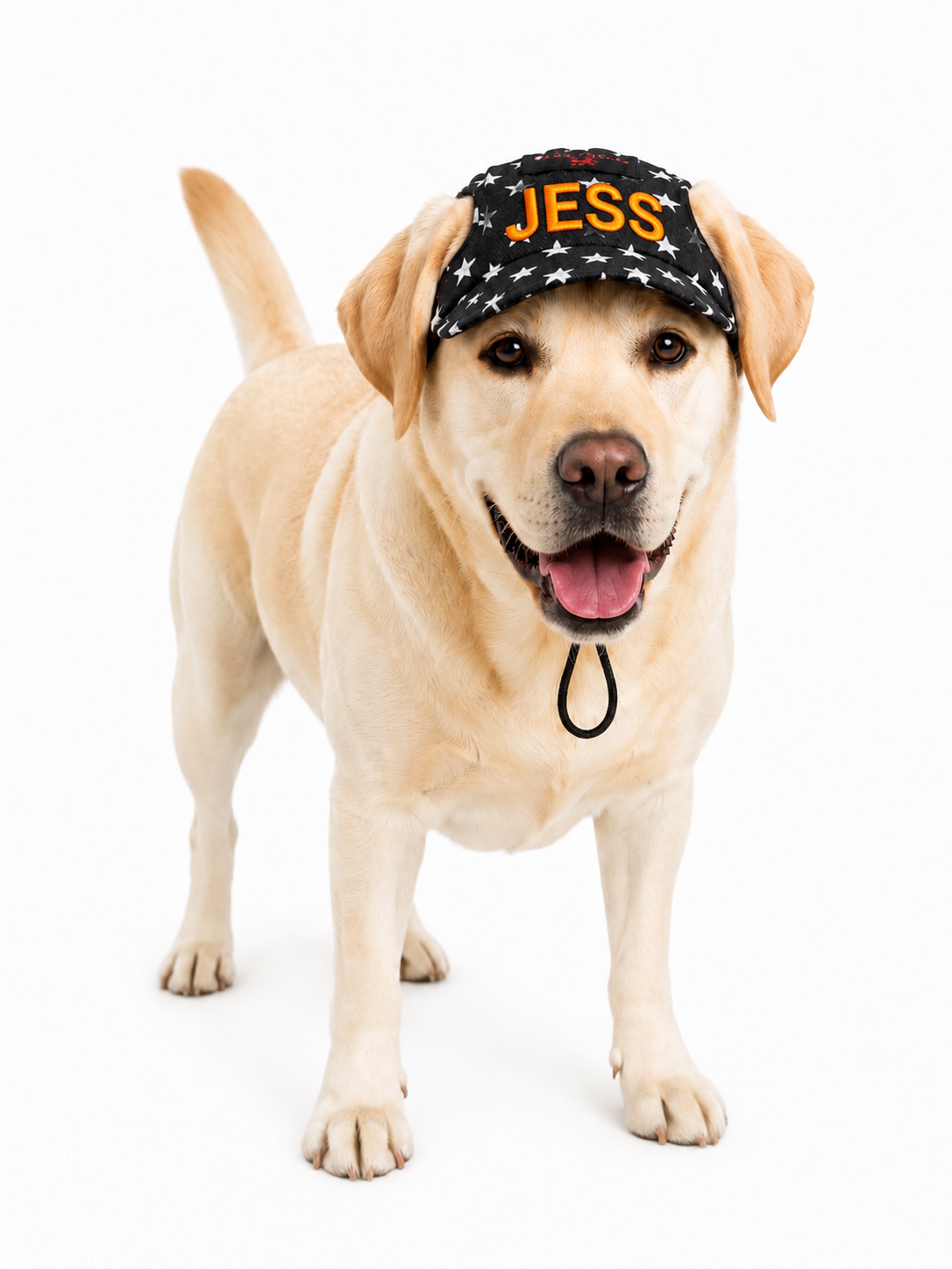 Black Star Denim Cap and Bandana Set | Personalised for Dogs | Pawgy Pets