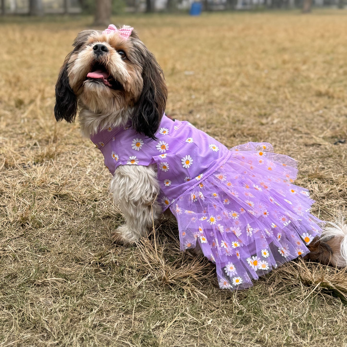 Purple Frilly Dress | For Dogs | Pawgy Pets