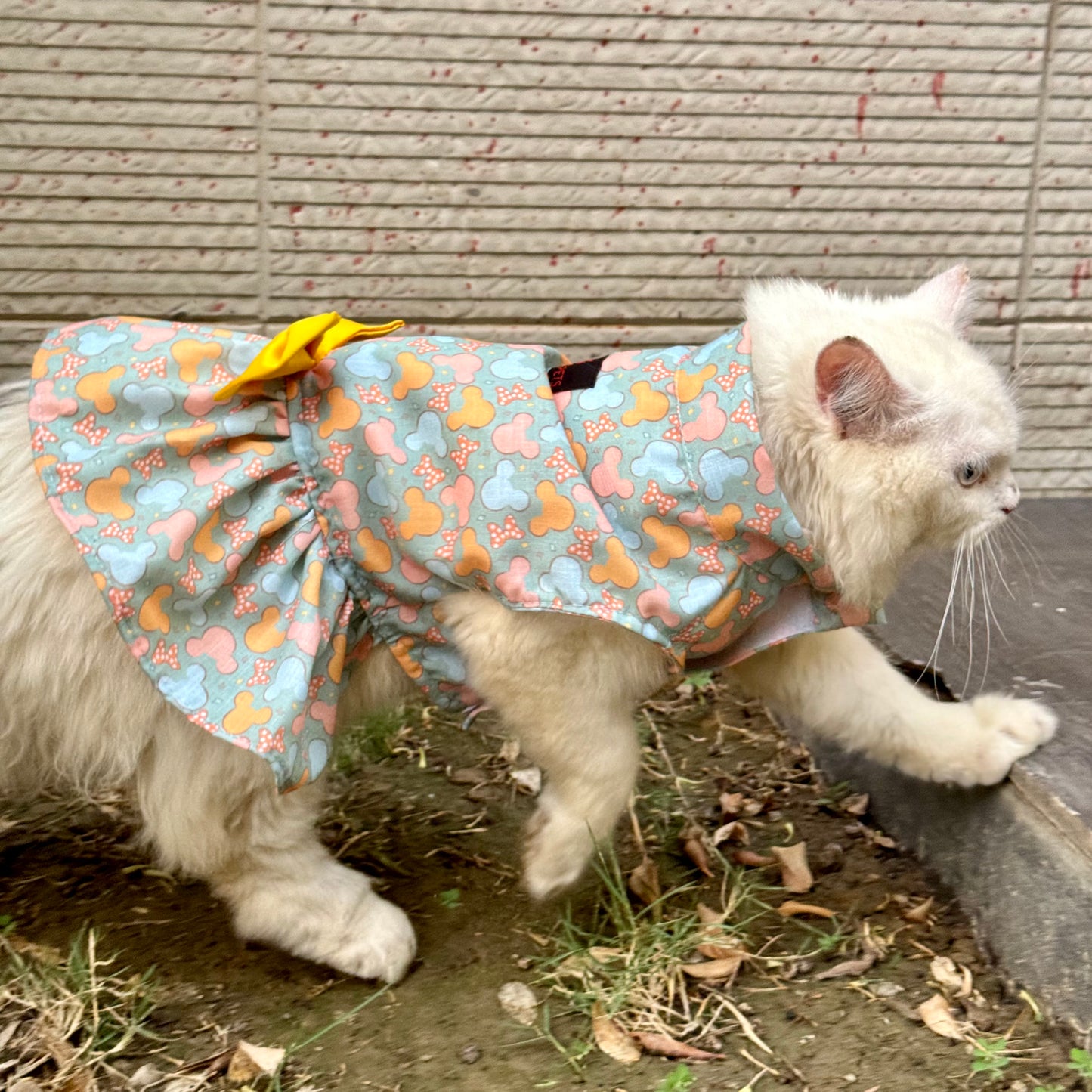 Pawgy Pets Mickey Overloaded Dress Pastel Green (Cat)