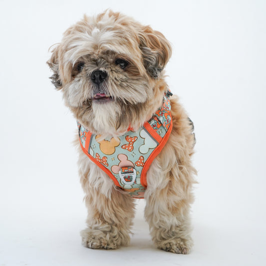 Mickey | Padded Harness for Dogs and Cats | Pawgy Pets