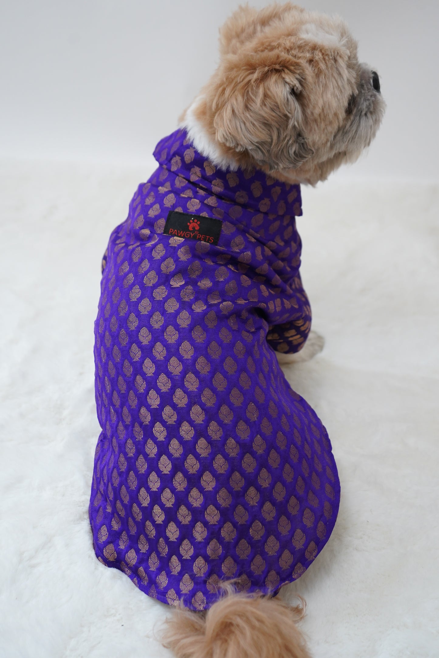 Purple Occasion Wear Shirt | For Dogs | Pawgy Pets