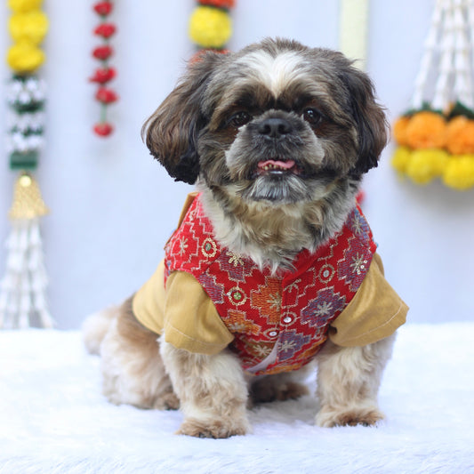 Pawgy Pets Kurta Koti Beige & Red for Dogs