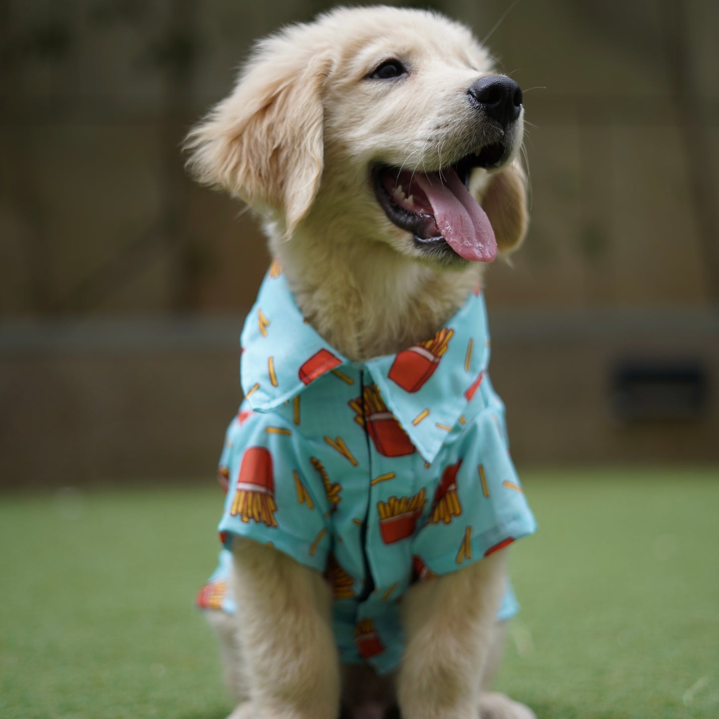 Unisex Quirky Shirt for Human + Dog Shirt Twinning set