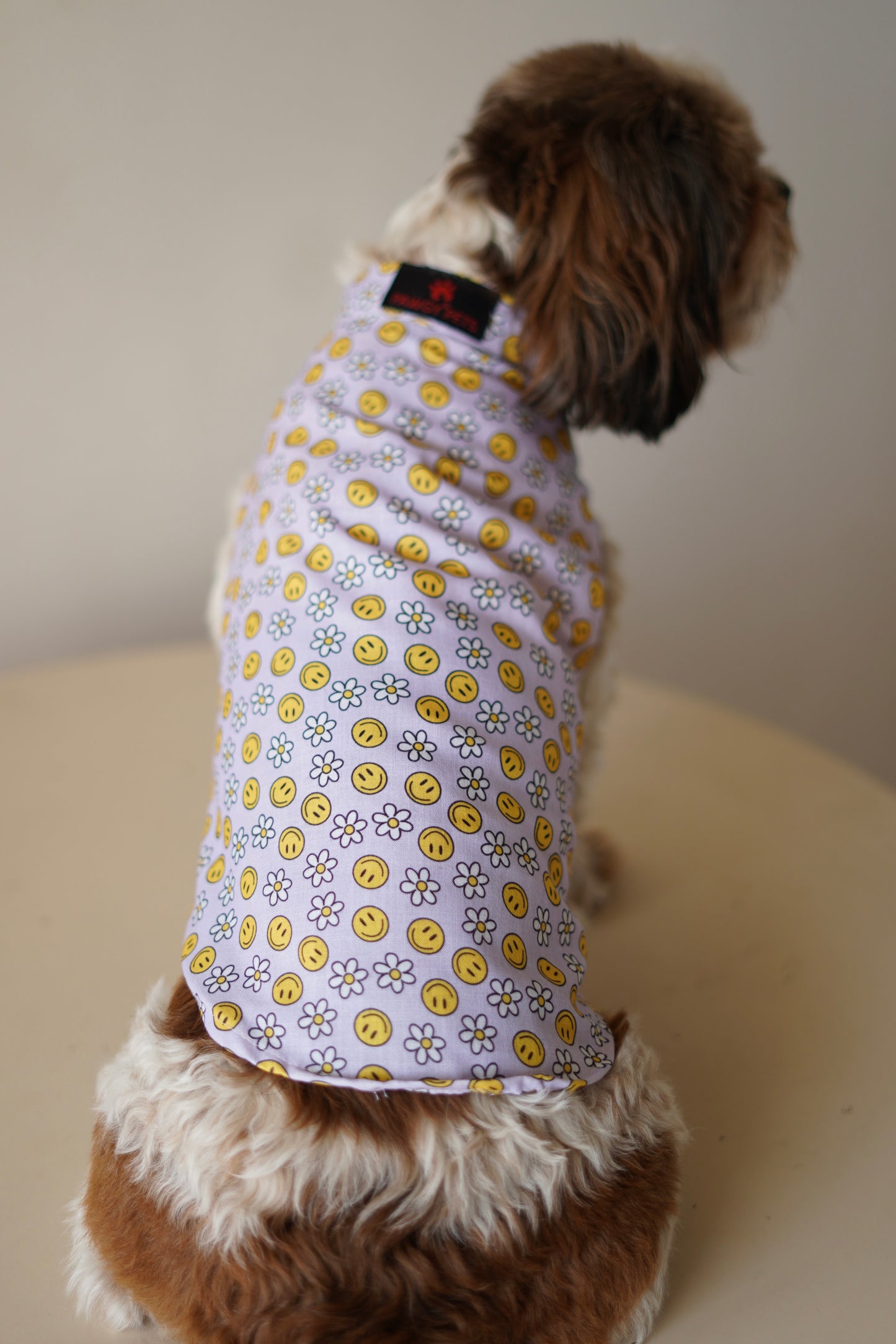 Smiley O'Clock Sando | Lavender | For Dogs | Pawgy Pets