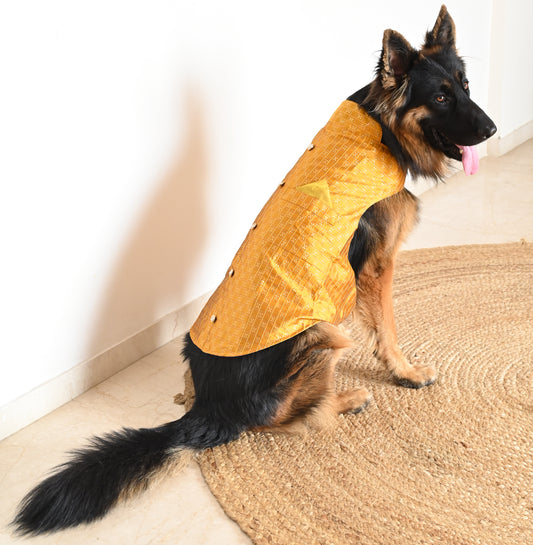 Pawgy Pets Strapy Sherwani Mustard for Dogs