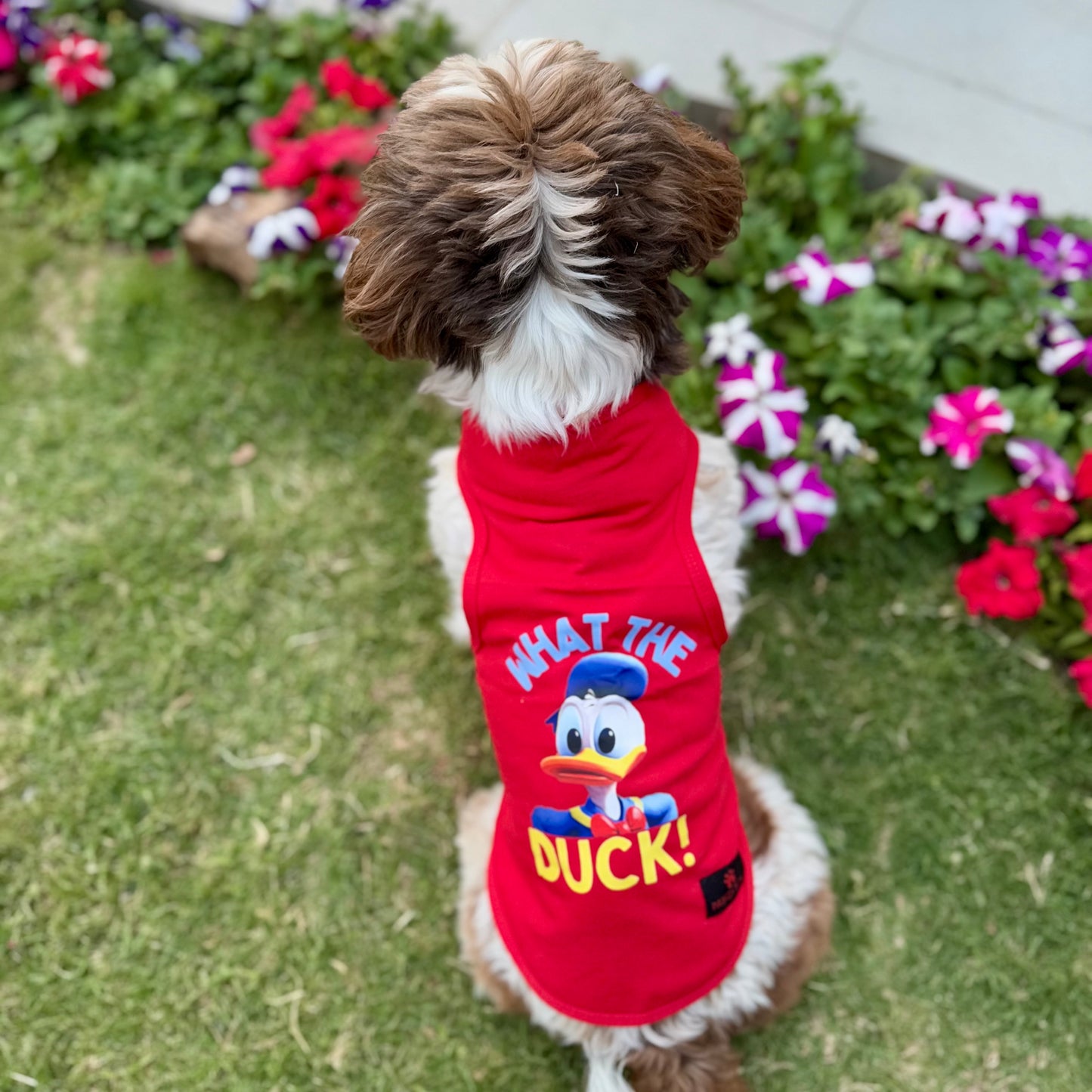 Pawgy Pets T-shirt Red “What the duck” for Dogs & Cats