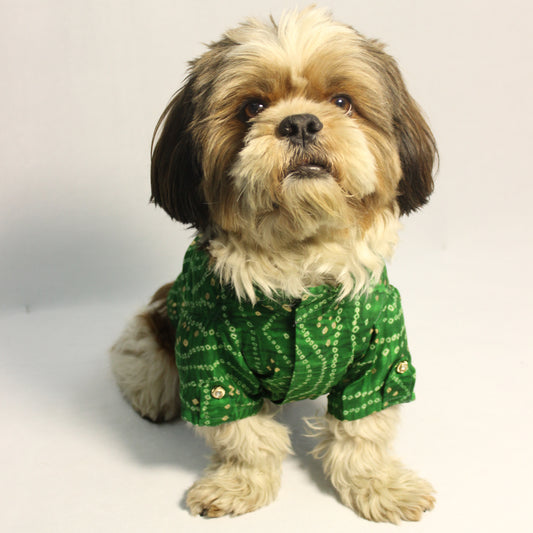 Pawgy Pets Green Bandani kurta for Dogs