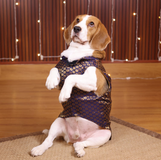 Pawgy Pets Sherwani Navy Blue for Dogs