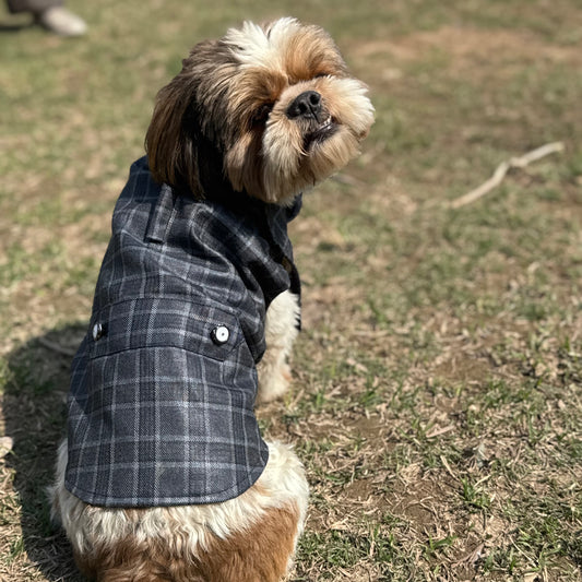 Luxe by Pawgy Pets Grey Check  Bowtie Tuxedo