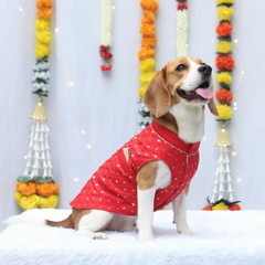 Pawgy Pets Red Shahi Kurta for Dogs