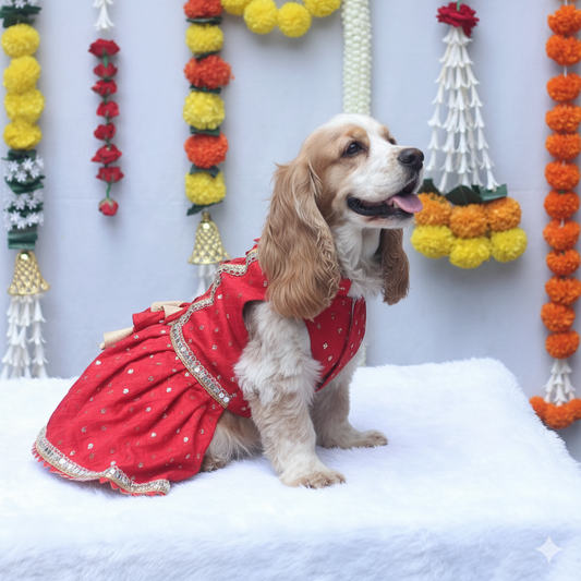 Pawgy Pets Shahi Lehenga- Dress Red for Dogs & Cats