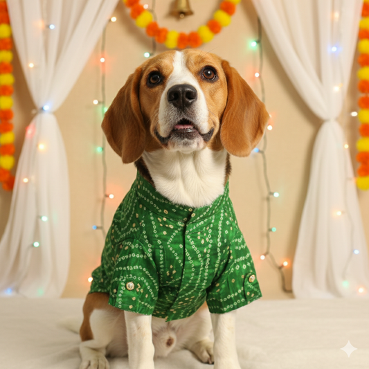 Pawgy Pets Green Bandani kurta for Dogs