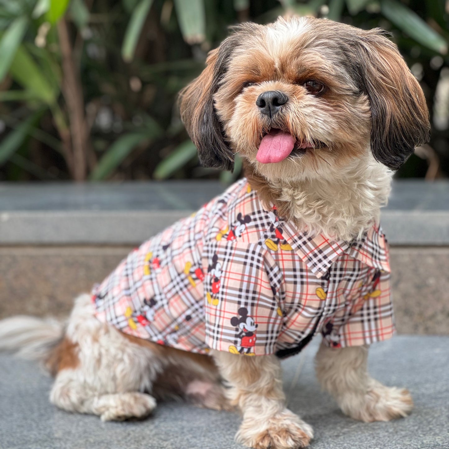 Unisex Quirky Shirt for Human + Dog Shirt Twinning set