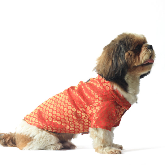Pawgy Pets Occasion Wear Shirt: Red for Dogs