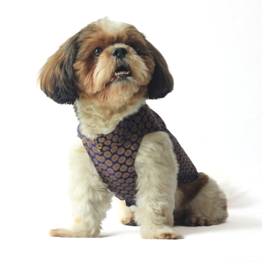 Pawgy Pets Sherwani Navy Blue for Dogs