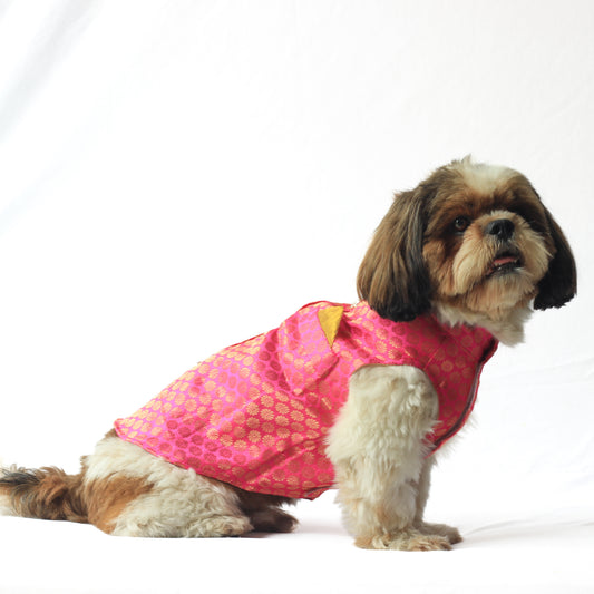 Pawgy Pets Sherwani Pink for Dogs