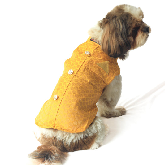 Pawgy Pets Sherwani Yellow for Dogs
