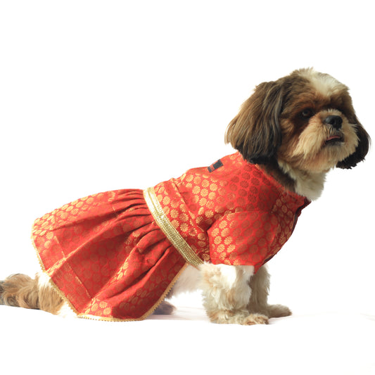 Pawgy Pets Occasion wear Dress Red for Dogs