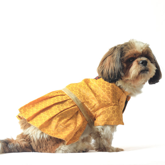 Pawgy Pets Occasion wear Dress Yellow for Dogs