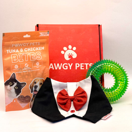Pawgy Pets Gift box Mini for Dogs & Cats