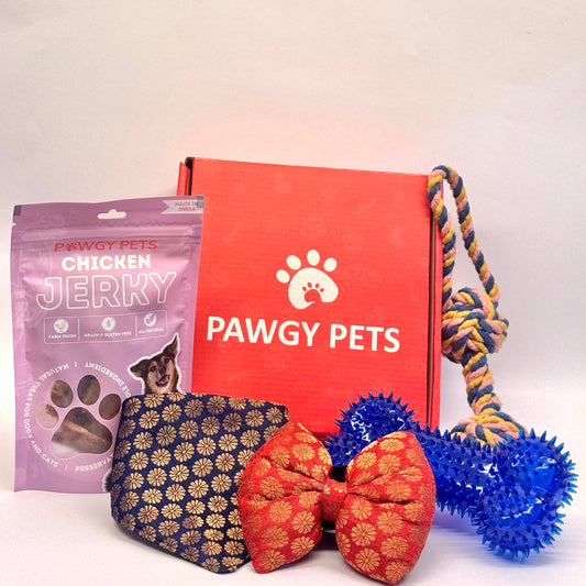 Pawgy Pets Festive Box for Dogs & Cats