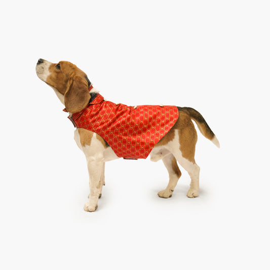Pawgy Pets Strapy Sherwani Red for Dogs